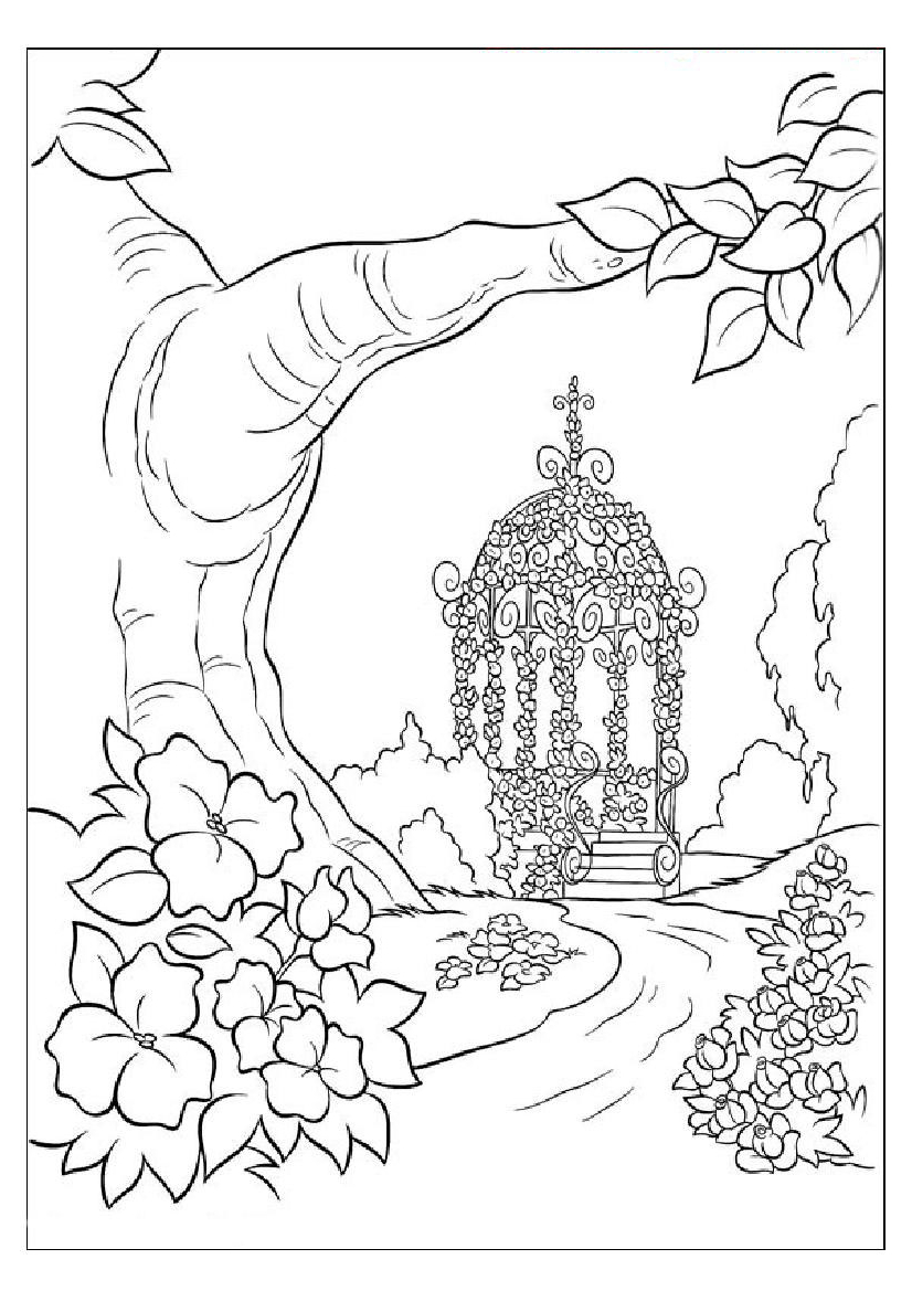 826x1169 Nature Drawing Color For Kids