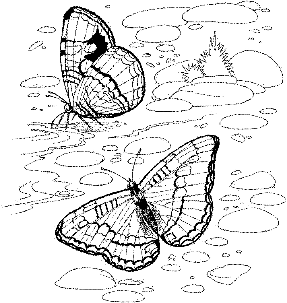 1000x1056 Nature Drawing Color For Kids