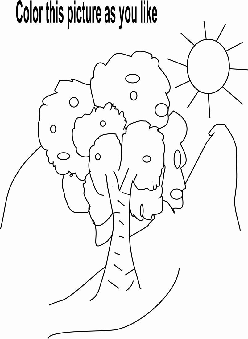 804x1100 Nature Beauty Coloring Page For Kids