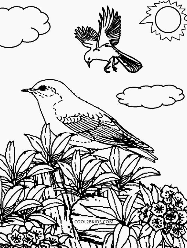 612x812 Printable Nature Coloring Pages For Kids Cool2bkids