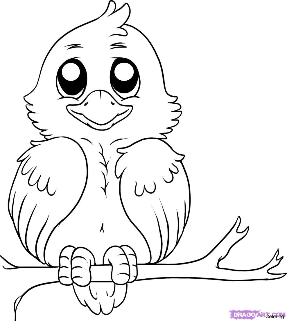 988x1107 Birds Drawing For Kids How To Draw A Bird Stepstep Easy