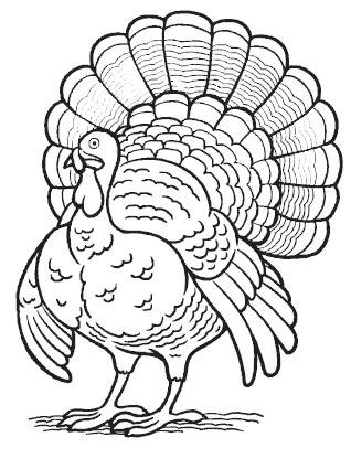 318x425 Fun Free Thanksgiving Activity Book For Kids, Parents And Families
