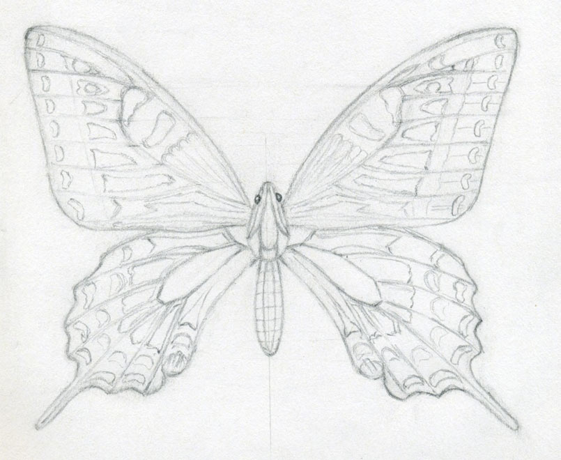 805x660 How To Draw A Butterfly ~ Jus 4 Kidz