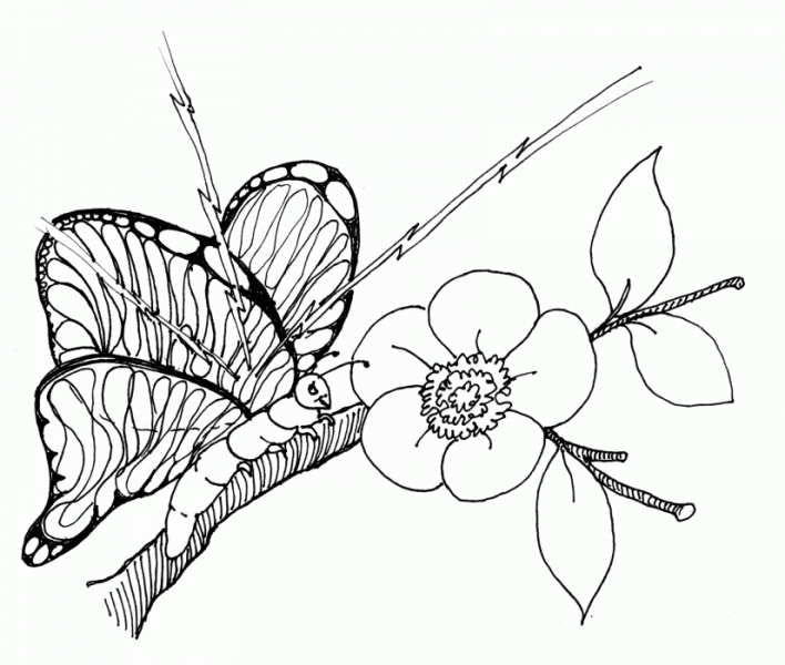 708x600 Killer Bees! Insects Help Armies Wage War The Hook