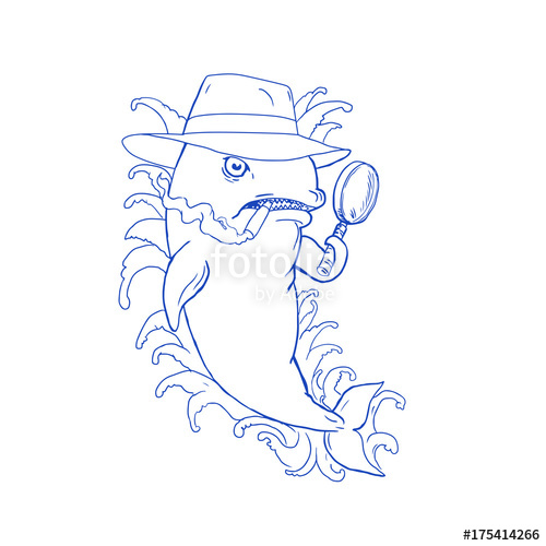 500x500 Detective Orca Killer Whale Drawing Stock Image And Royalty Free