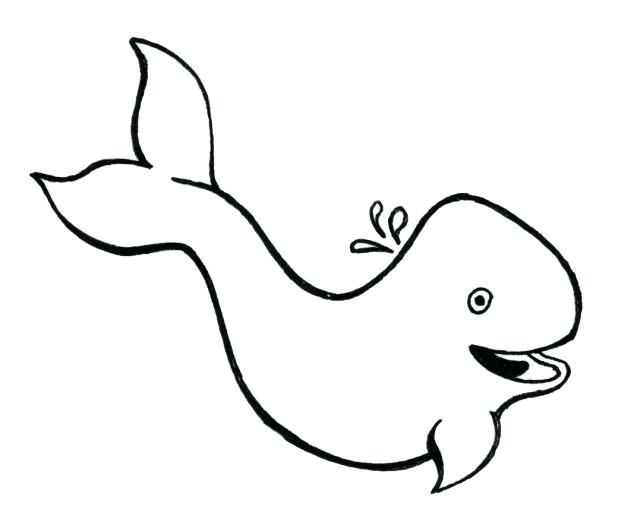 618x522 Orca Whale Coloring Pages Whale Coloring Pages For Kids Pictures