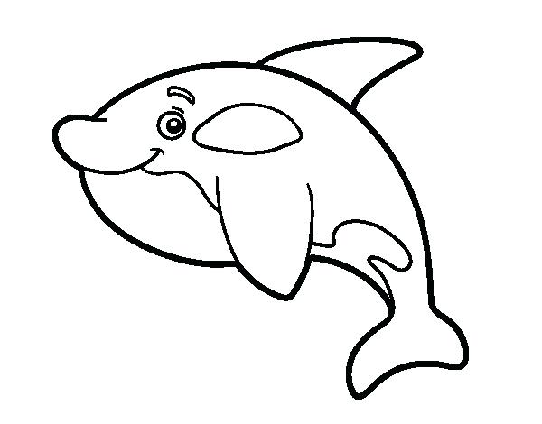 600x470 Young Killer Whale Coloring Page Orca Sheets Murs
