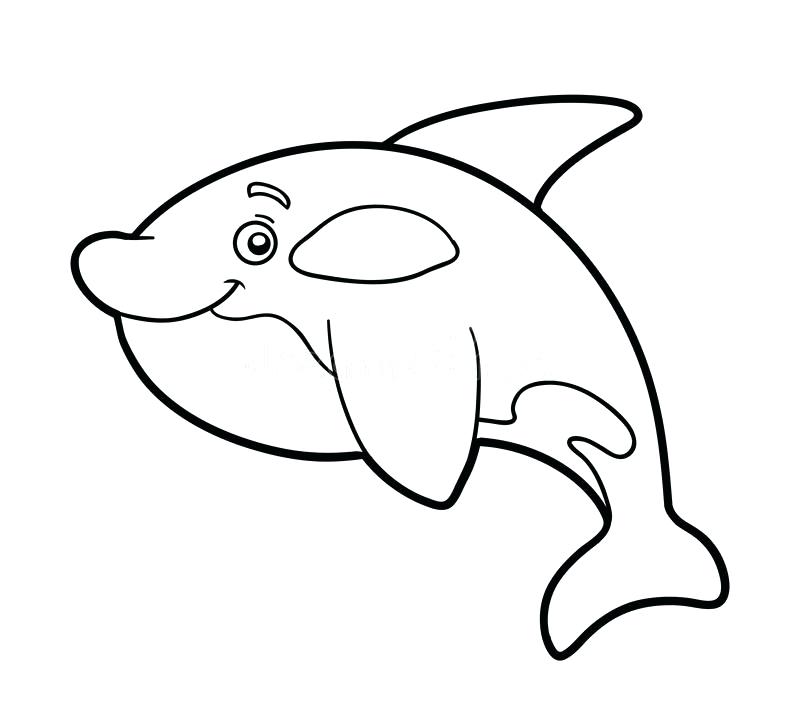 800x704 Download Coloring Book Page Killer Whale Stock Vector Image