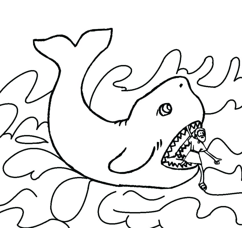 850x800 Whale Coloring Pages Printable Printable Pictures Killer Whale