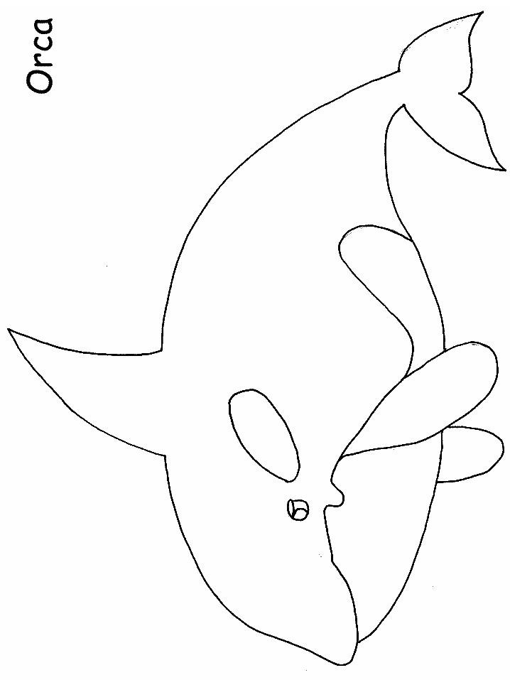 718x957 Whale Drawing For Kids