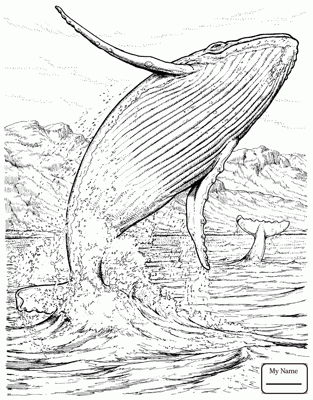 1080x1379 Coloring Pages Cute Killer Whale Is Jumping Out Of Water Mammals