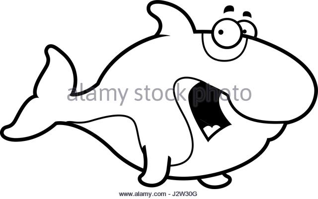 640x401 Orca Black And White Stock Photos Amp Images