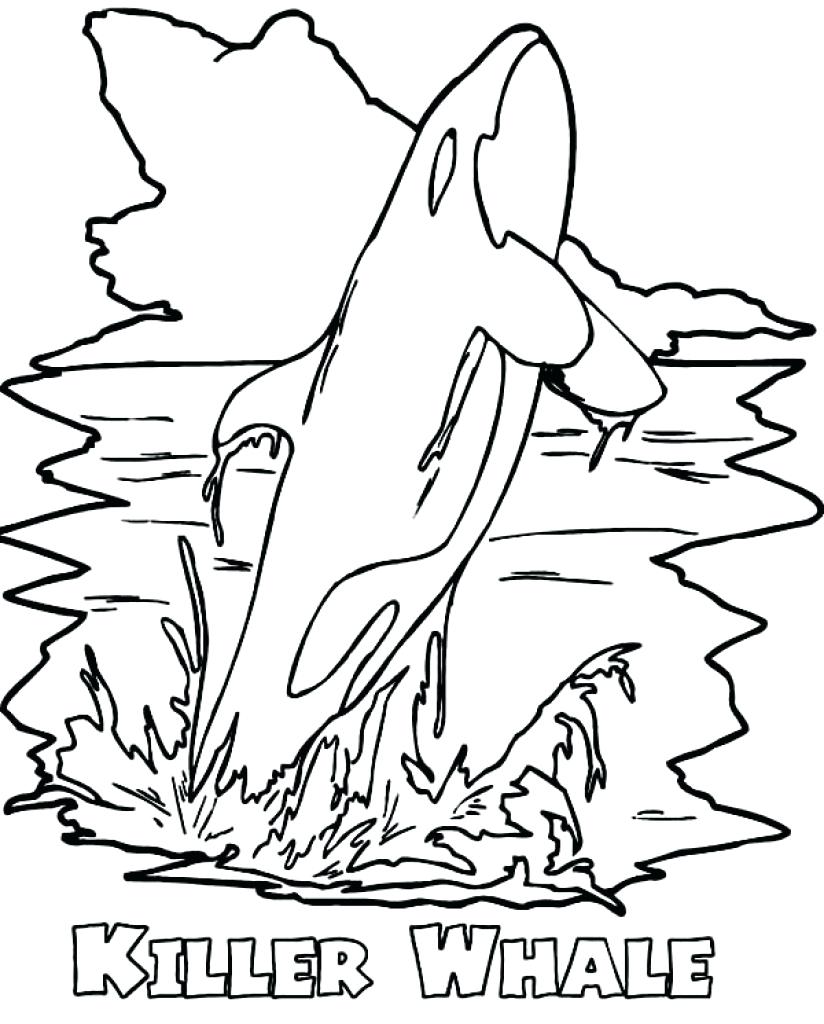824x1024 Weird Killer Whale Coloring Pages Page Robertjhastings Net