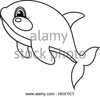 330x320 Cartoon Whale Line Drawing Vector Illustration Stock Vector Art