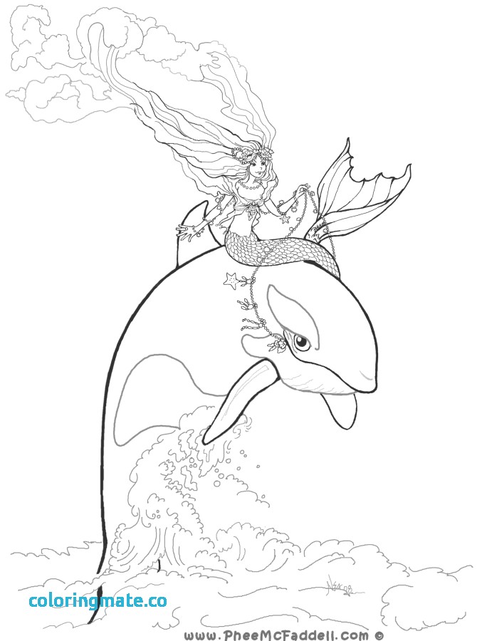 670x900 Killer Whale Coloring Pages Beautiful 16 Coloring Pictures Whale