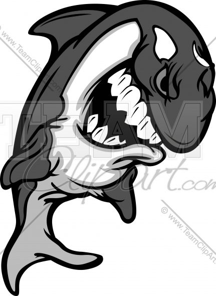 431x590 Killer Whale Clipart Sketch
