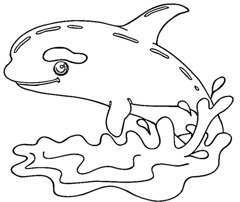 480x404 Little Killer Whale Coloring Page Free Printable Coloring Pages