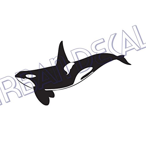 500x500 Killer Whale Decal, Orca Whale Vinyl, For Car, Window