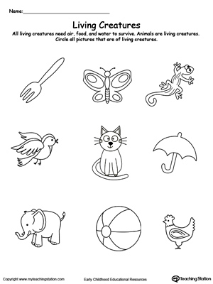 300x400 Kindergarten Printable Worksheets
