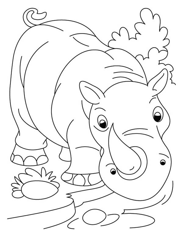 600x776 Kindergarten Kids Drawing Rhino Coloring Pages Batch Coloring