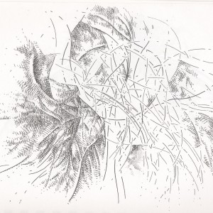 300x300 Sketchbook Adam Hinterlang