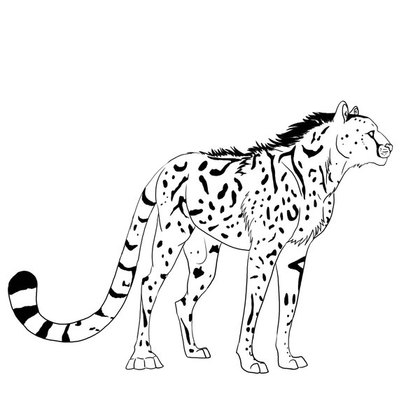 600x566 King Cheetah By Darkmoon17