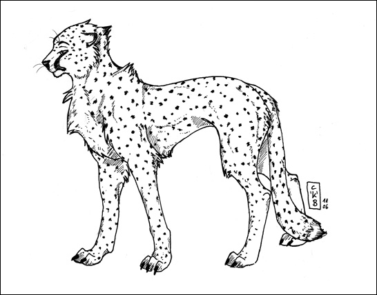 546x428 Cheetah Lineart By Kataviech