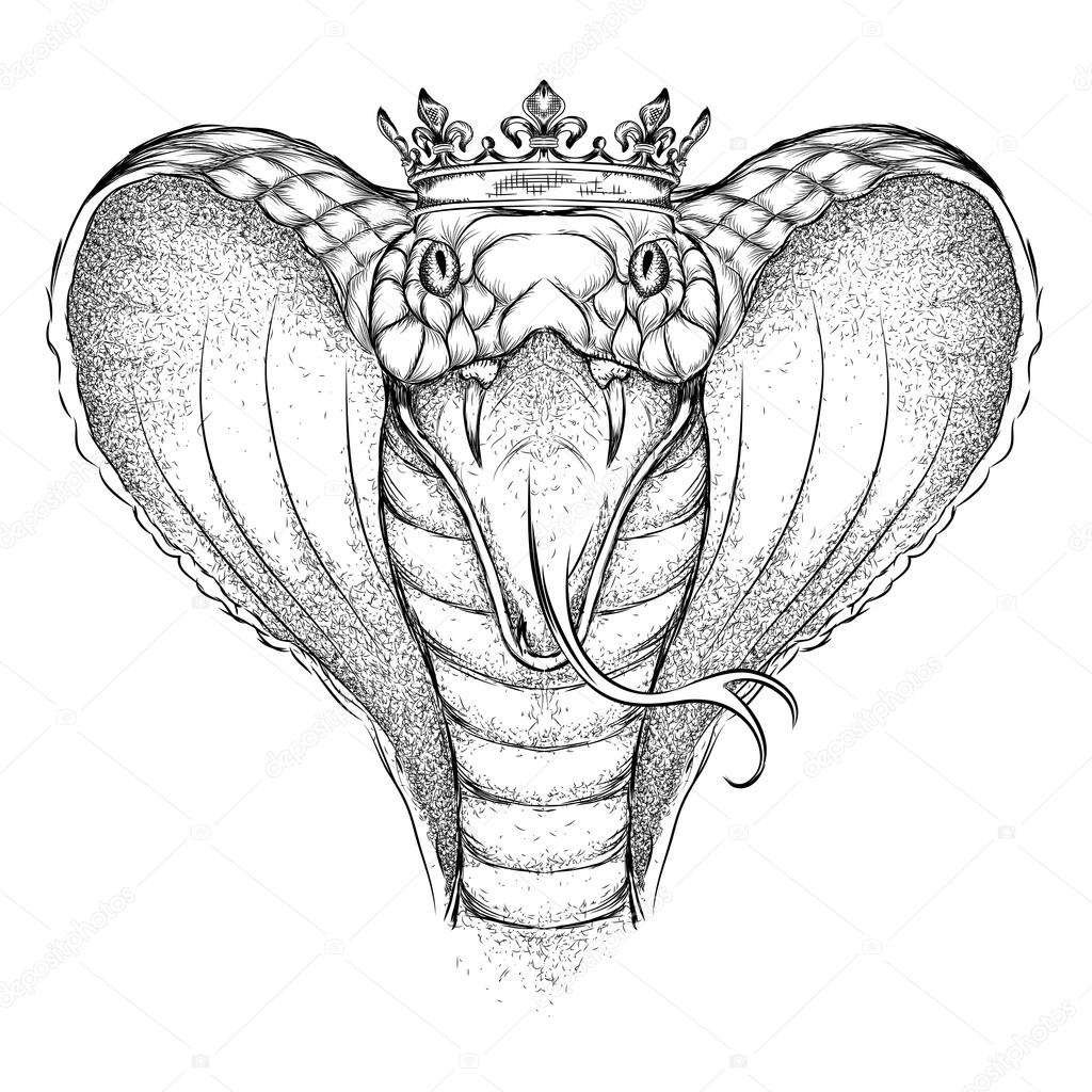 1024x1024 Hand Draw King Cobra In The Crown. Vector Illustration Stock