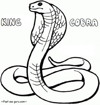 321x338 Printable King Cobra Coloring Pages For Kids