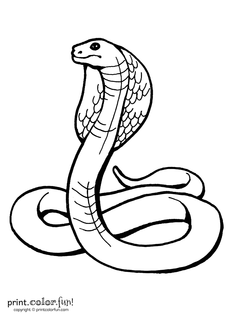 800x1080 Indian Design With Three Headed Cobra Coloring Page Free Printable