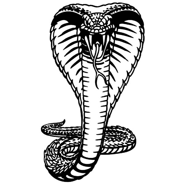 King Cobra Head Drawing at GetDrawings | Free download