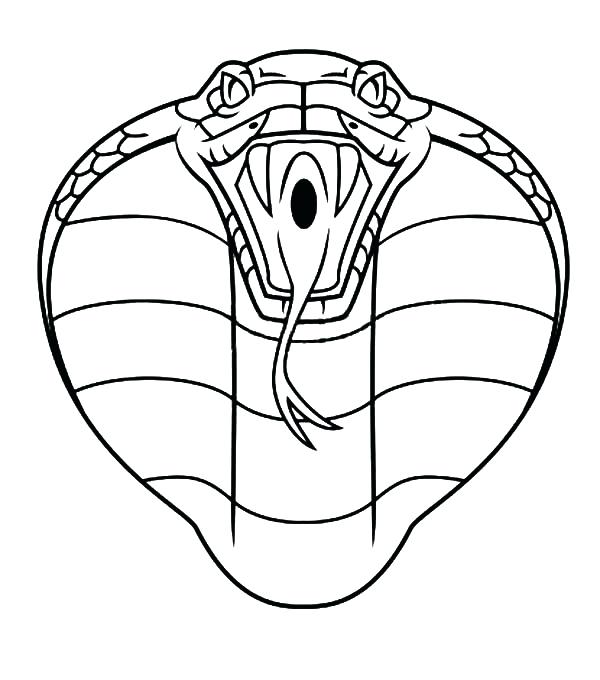 600x680 King Cobra Coloring Pages Coloring Pages King Cobra Kids Colouring