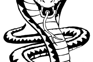 300x200 King Cobra Snake Coloring Pages, Coloring Page King Cobra