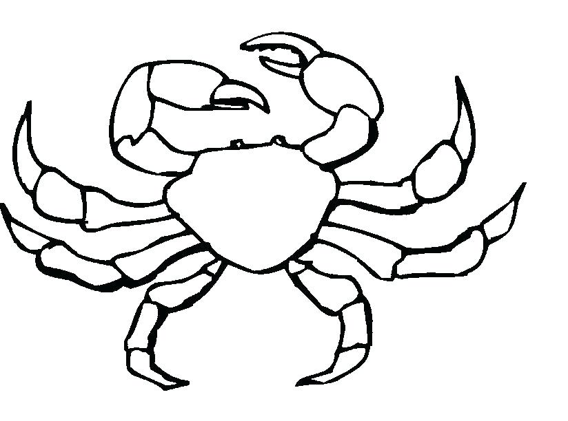 King Crab Drawing at GetDrawings | Free download