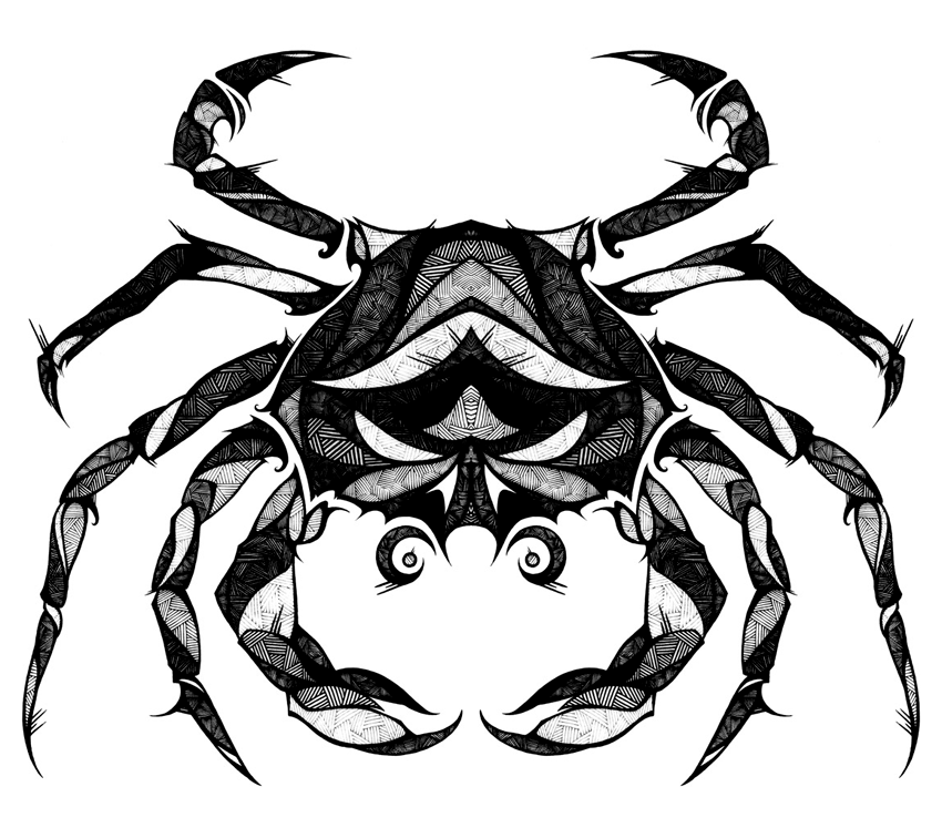 850x756 Beautiful Zodiac Sign Illustrations