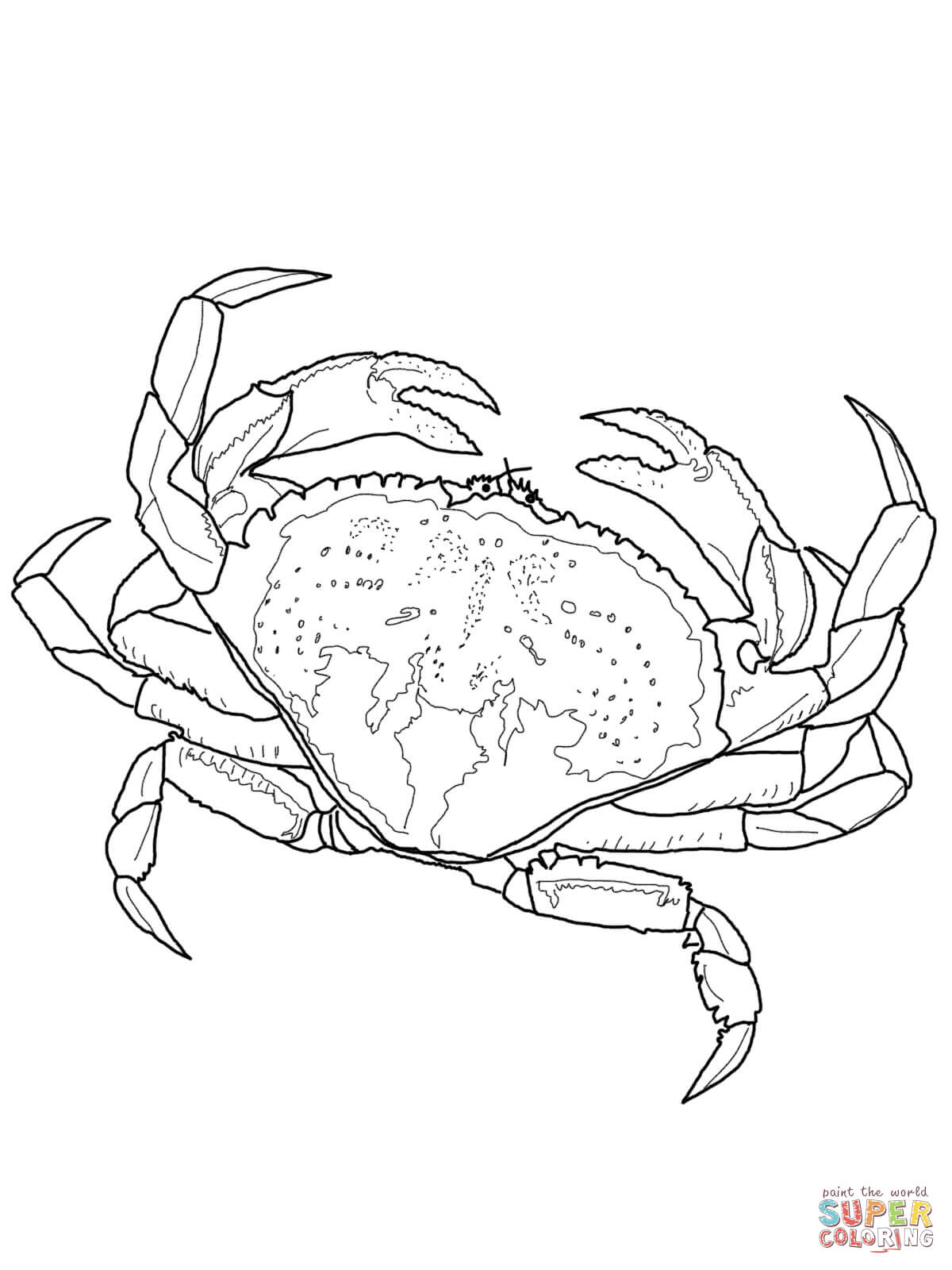 1200x1600 Top 79 Crab Coloring Pages