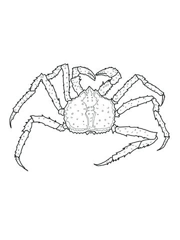 360x480 Coloring Pages Crab Crab Coloring Pages To Print Mr Krabs