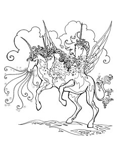 232x300 Black Magic Drawings