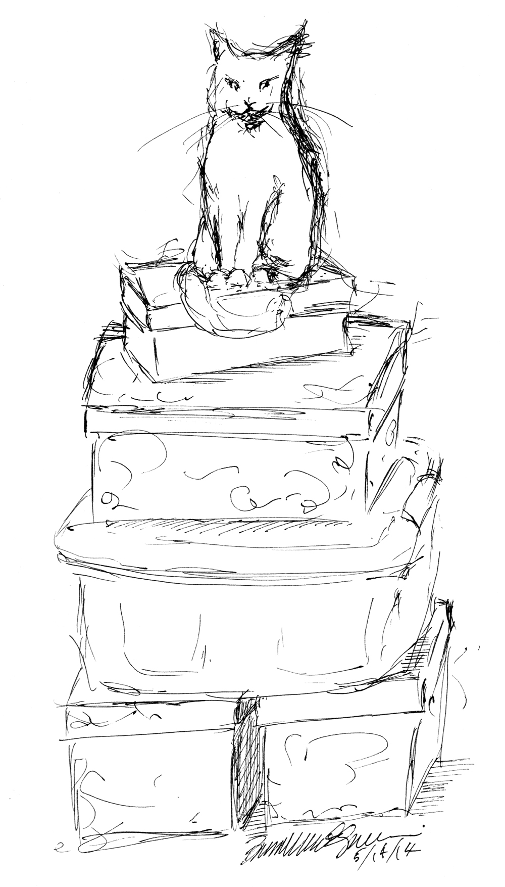1000x1755 Daily Sketch King Of The Pile Of Boxes ~ The Creative Cat