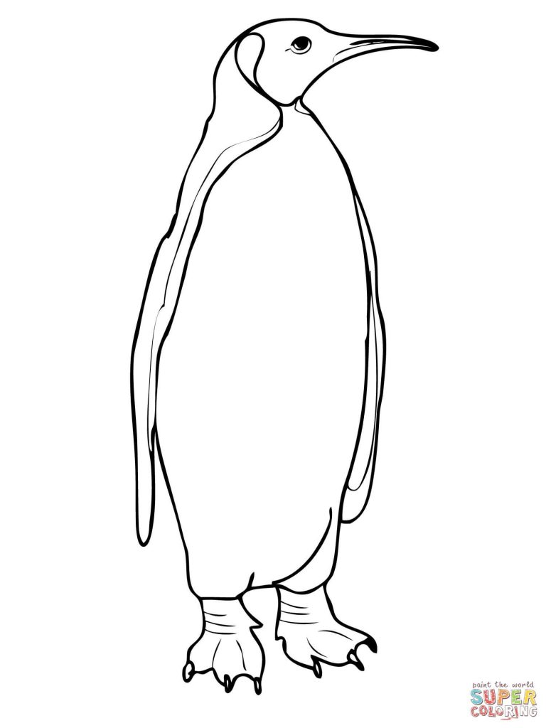 768x1024 King Penguin Coloring Pages Fresh Two King Penguins Coloring Page