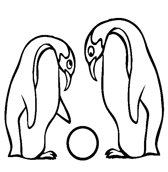 554x565 King Penguin Coloring Page