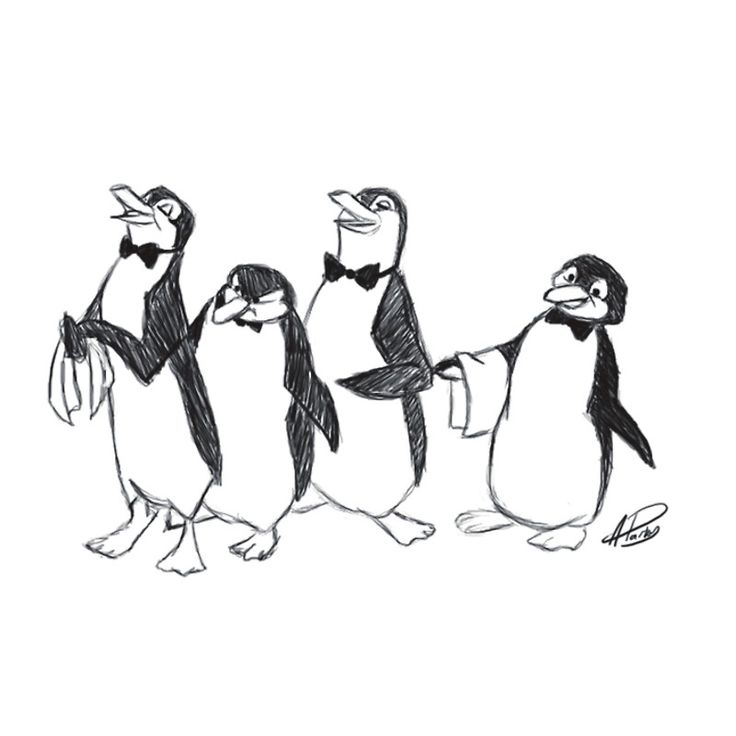 736x736 The Best Penguin Sketch Ideas On Penguin Drawing