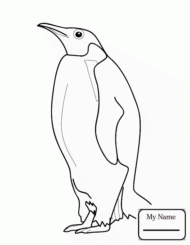 640x827 Birds King Penguin Coloring Pages For Kids