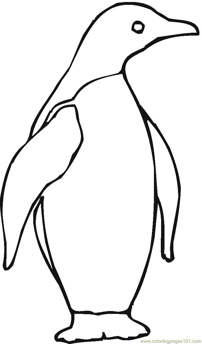 706x1200 Adult Penguin Coloring Pages Coloring Pages Kids