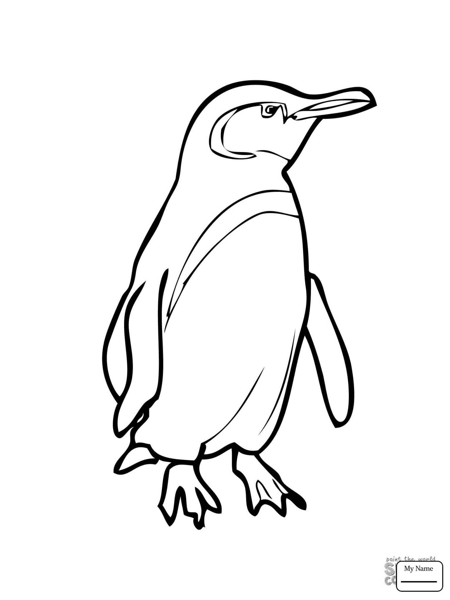 1530x2040 Penguins King Penguin With A Bow Tie Birds Coloring Pages