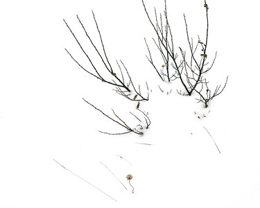 375x300 Leica M262 Gallery