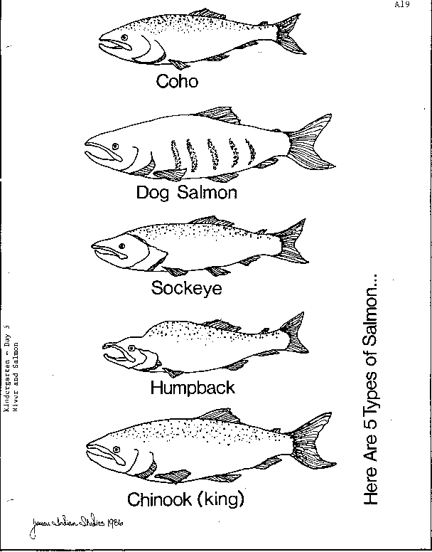 608x776 Living In A Fish Camp