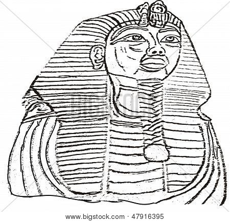 450x434 King Tut Outline Illustration Vector Amp Photo Bigstock