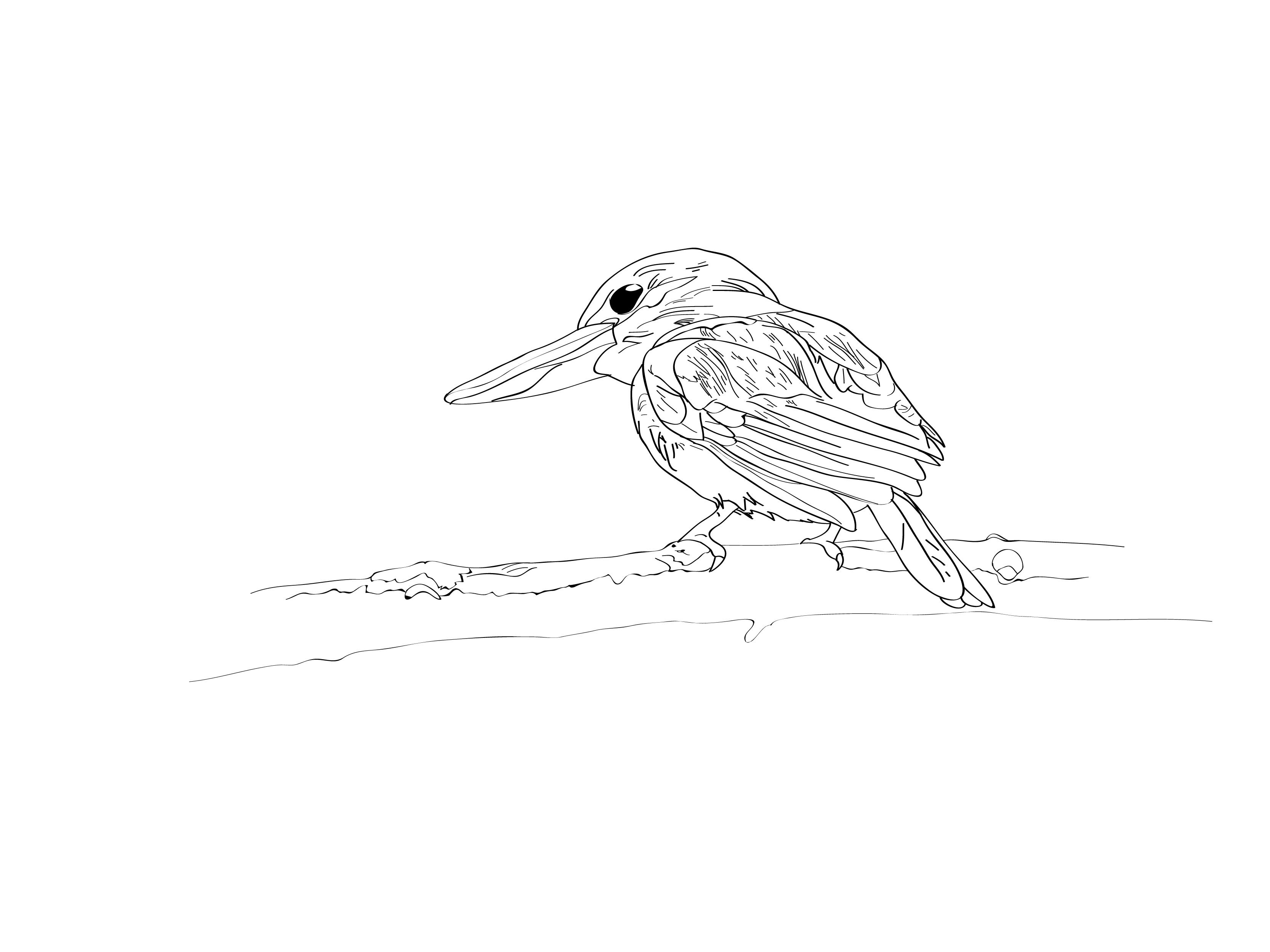 3333x2500 February 19th