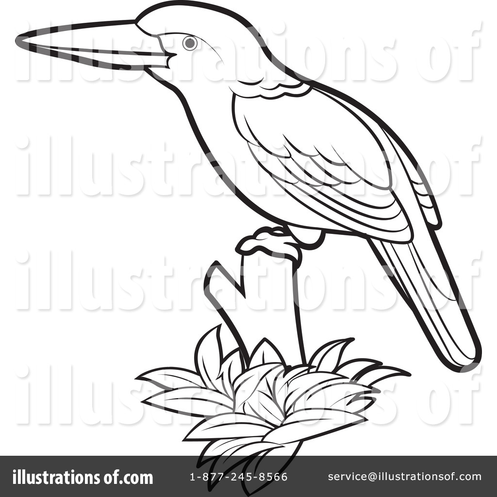 1024x1024 Kingfisher Clipart Black And White